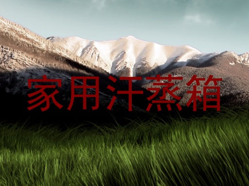 家用汗蒸箱