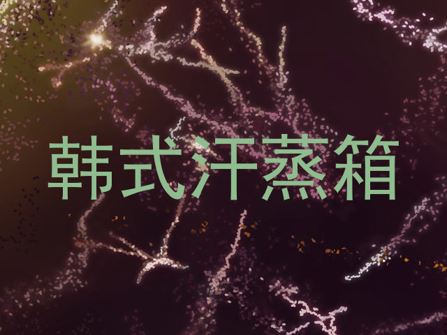 韩式汗蒸箱