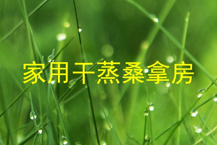 家用干蒸桑拿房