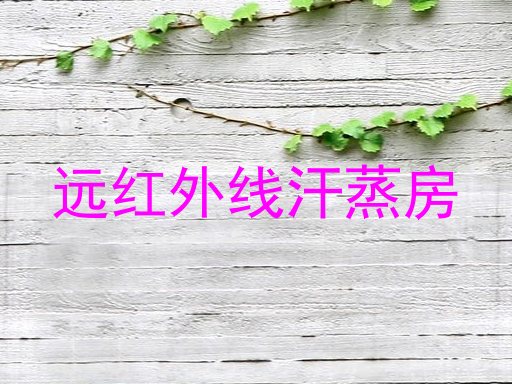 远红外线汗蒸房