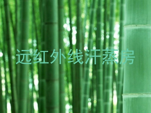 远红外线汗蒸房