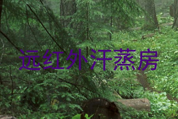 远红外汗蒸房