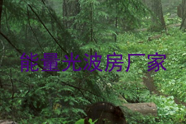 能量光波房厂家