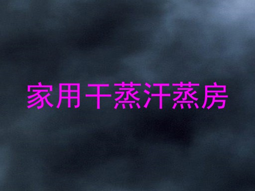 家用干蒸汗蒸房