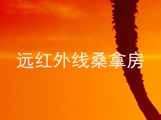 远红外线桑拿房