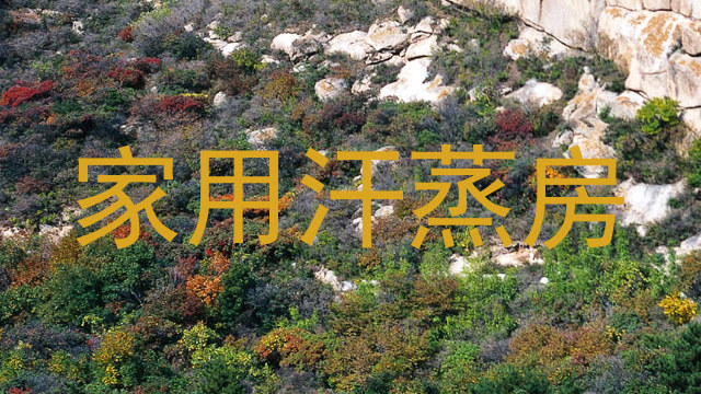 家用汗蒸房