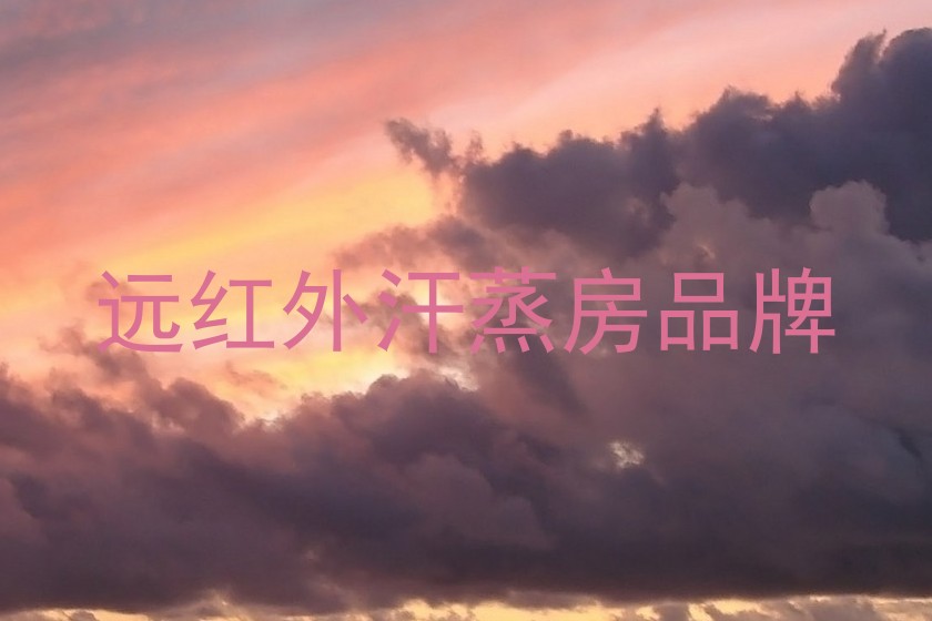 远红外汗蒸房品牌
