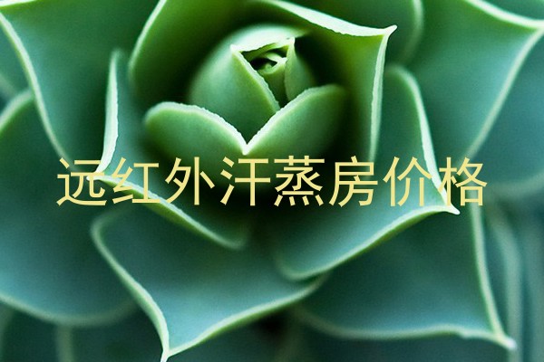 远红外汗蒸房价格