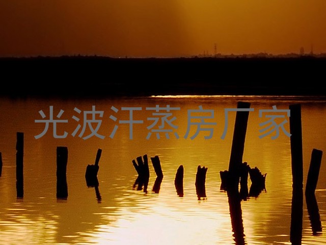 光波汗蒸房厂家
