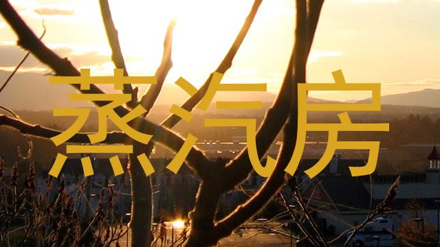 蒸汽房