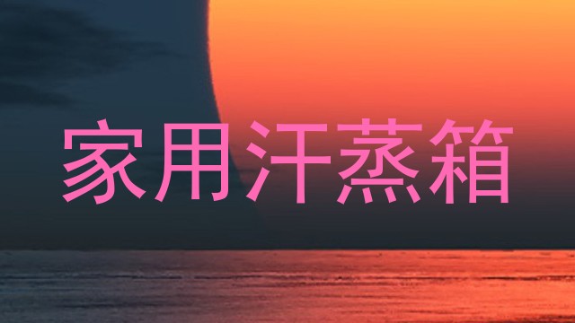 家用汗蒸箱