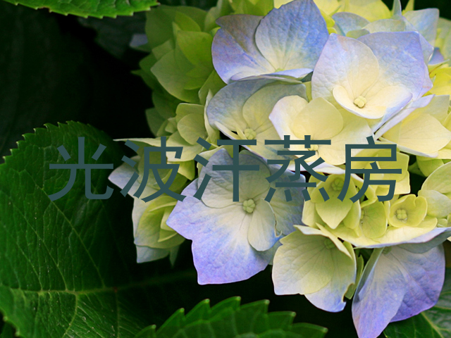 光波汗蒸房
