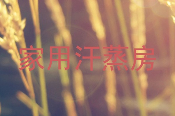 家用汗蒸房
