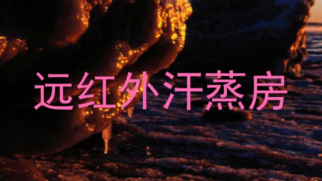 远红外汗蒸房