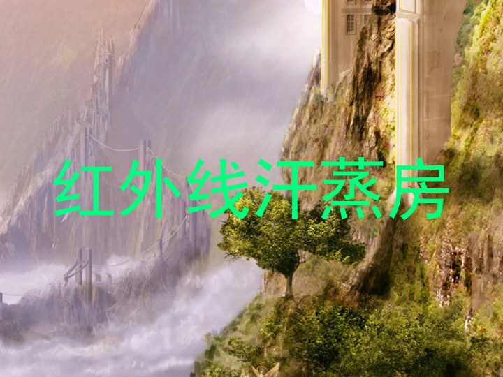 红外线汗蒸房