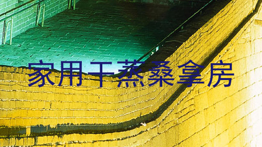 家用干蒸桑拿房