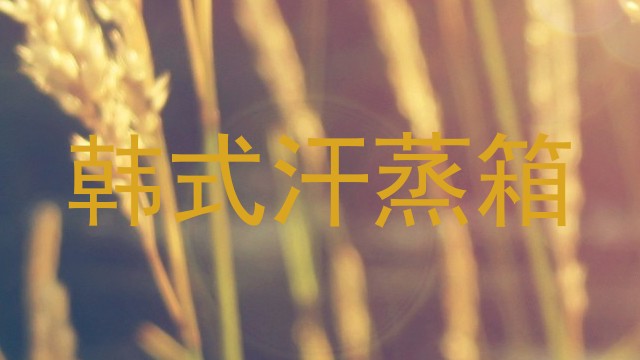 韩式汗蒸箱