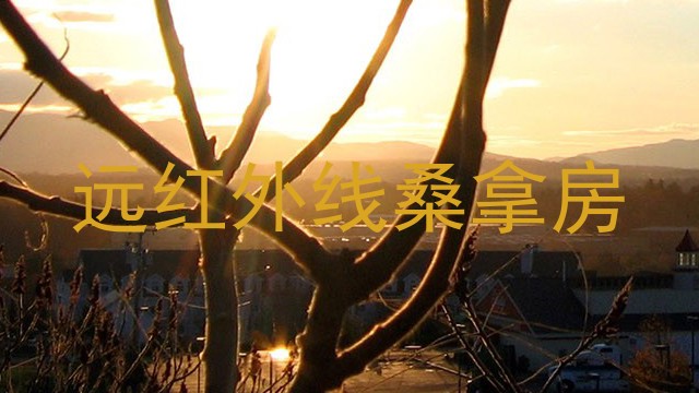 远红外线桑拿房
