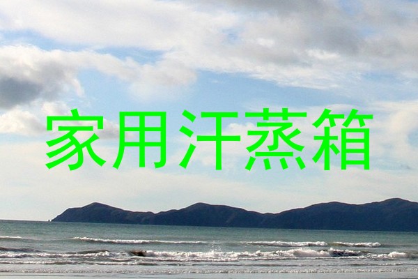 家用汗蒸箱