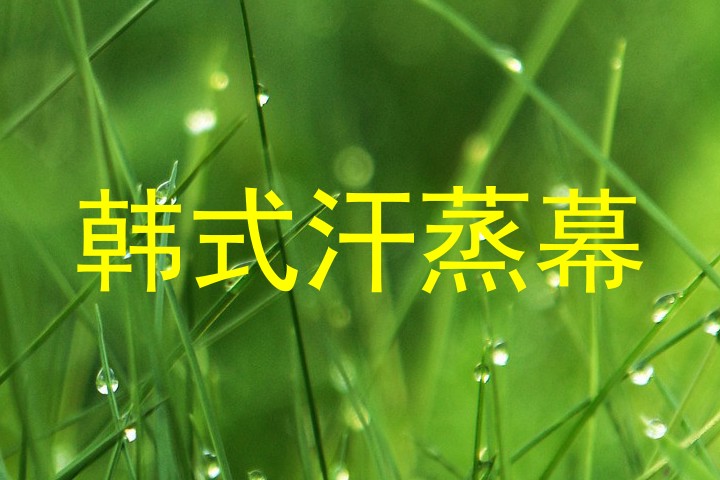 韩式汗蒸幕