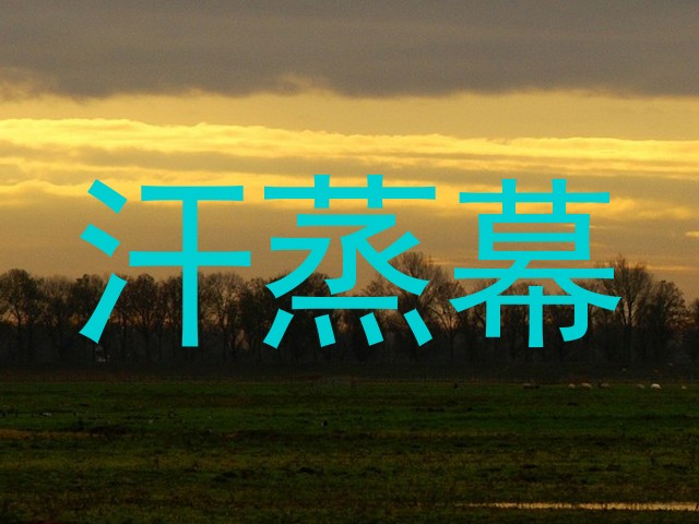 汗蒸幕
