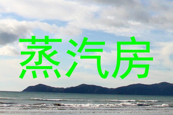 蒸汽房