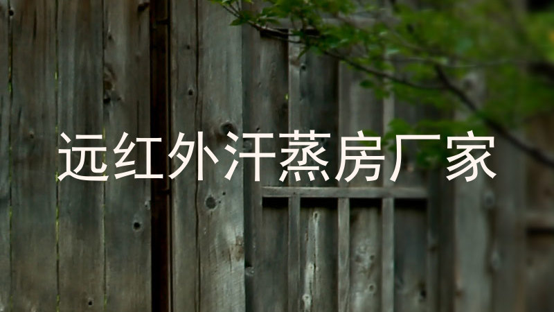 远红外汗蒸房厂家