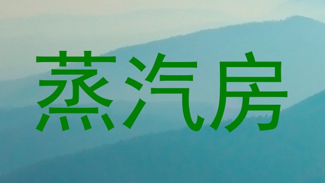 蒸汽房
