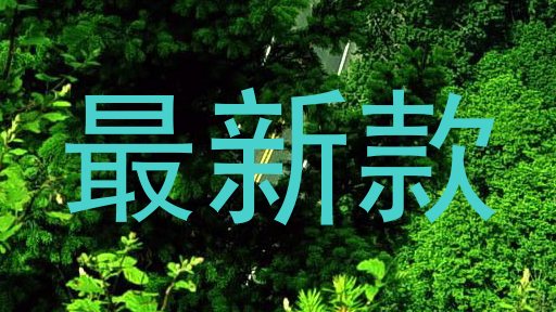 最新款
