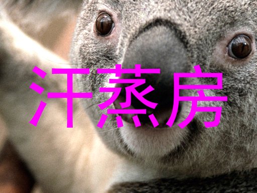 汗蒸房
