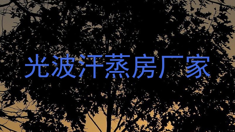 光波汗蒸房厂家