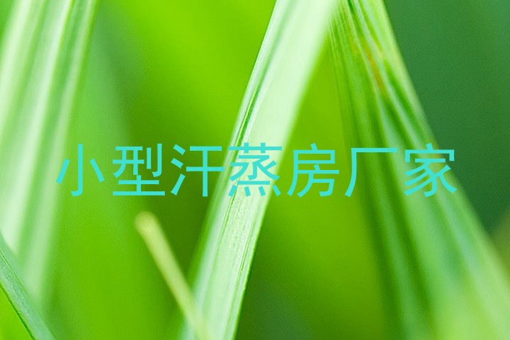 小型汗蒸房厂家