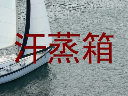 汗蒸箱