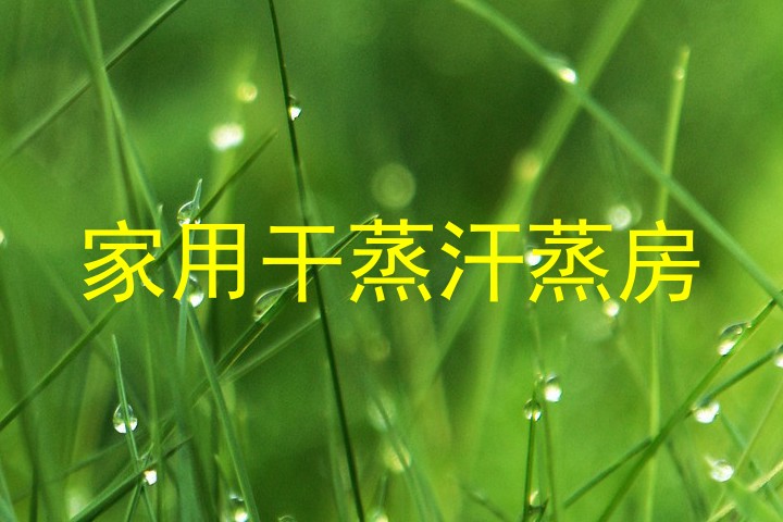 家用干蒸汗蒸房