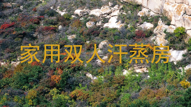 家用双人汗蒸房
