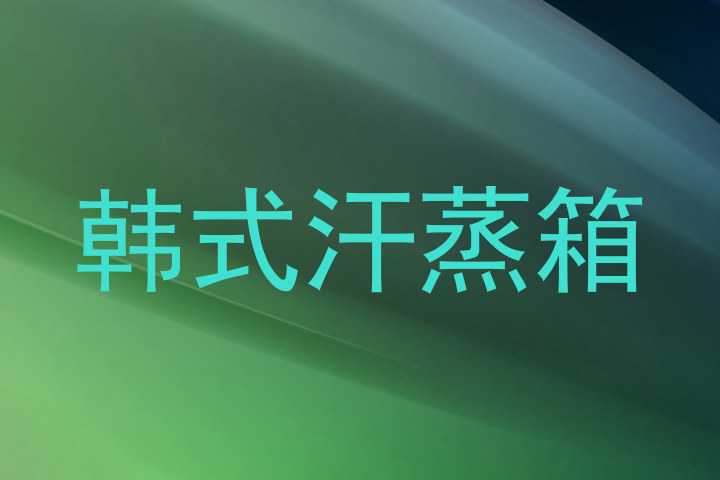 韩式汗蒸箱
