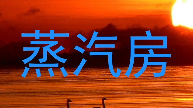 蒸汽房