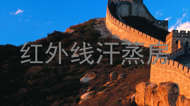红外线汗蒸房