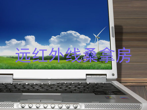 远红外线桑拿房