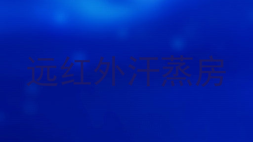 远红外汗蒸房