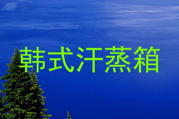 韩式汗蒸箱