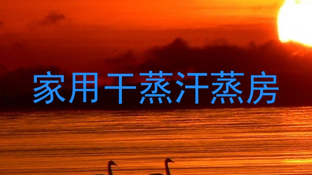 家用干蒸汗蒸房