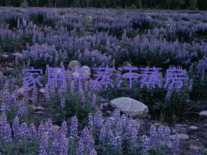 家用干蒸汗蒸房