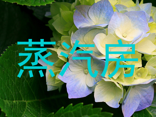 蒸汽房