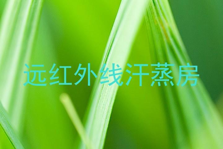 远红外线汗蒸房