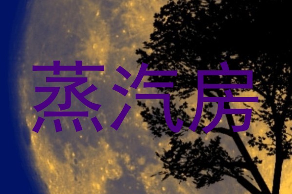蒸汽房