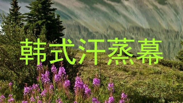 韩式汗蒸幕
