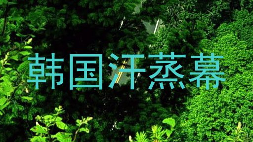韩国汗蒸幕