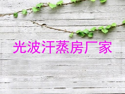 光波汗蒸房厂家