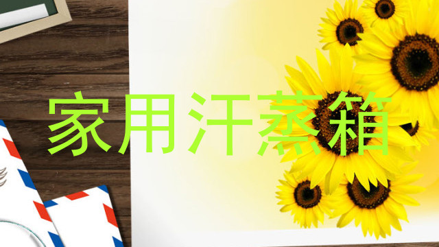家用汗蒸箱